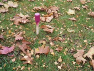 20171111_114233